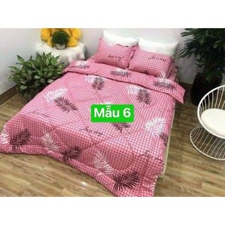 GA GIƯỜNG COTTON BỘ GỒM ( 1 GA + 2 VỎ GỐI NẰM )