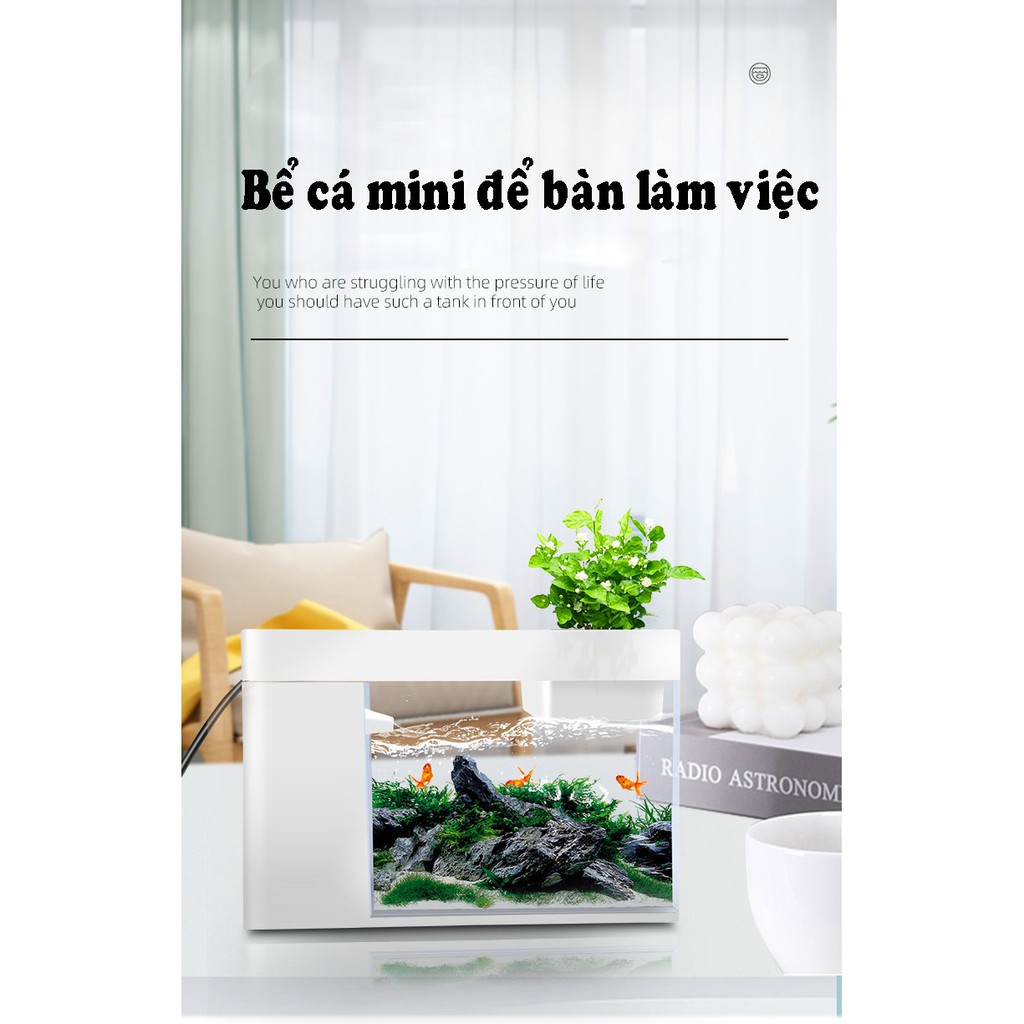 [hot sale]Bể cá mini thủy sinh để bàn làm việc, văn phòng