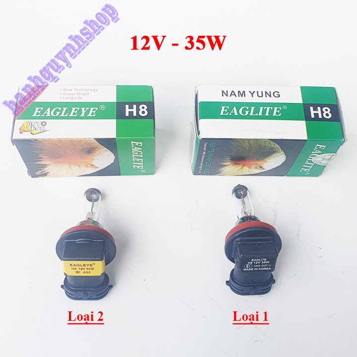 Bóng đèn ô tô H8 12V 35W con cú Halogen Nam Yung