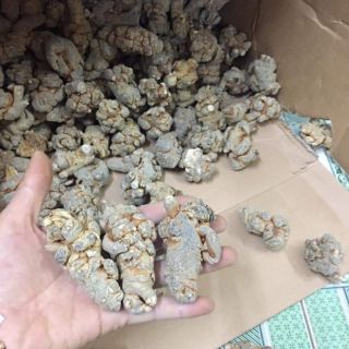 250g - 500g củ tam thất bắc