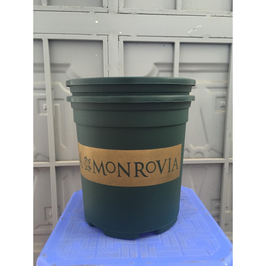 Chậu trồng cây Monrovia 1 Gallon và 1,5 Gallon (xanh, đen)