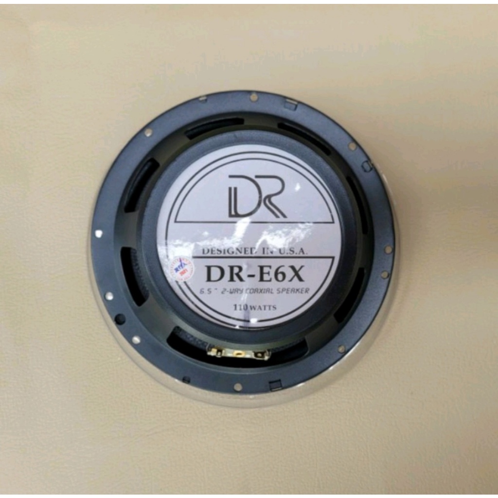 Loa cánh DR E6X-110W