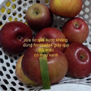 Formula 4 siberi của nga