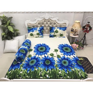 BỘ DRAP THUN HÀN QUỐC 4 MÓN
