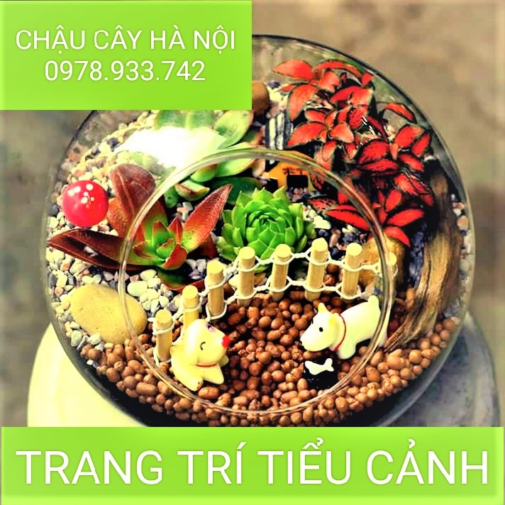 Hạt đất nung keramzit siêu nhẹ trồng cây - hạt lớn 2-5 mm