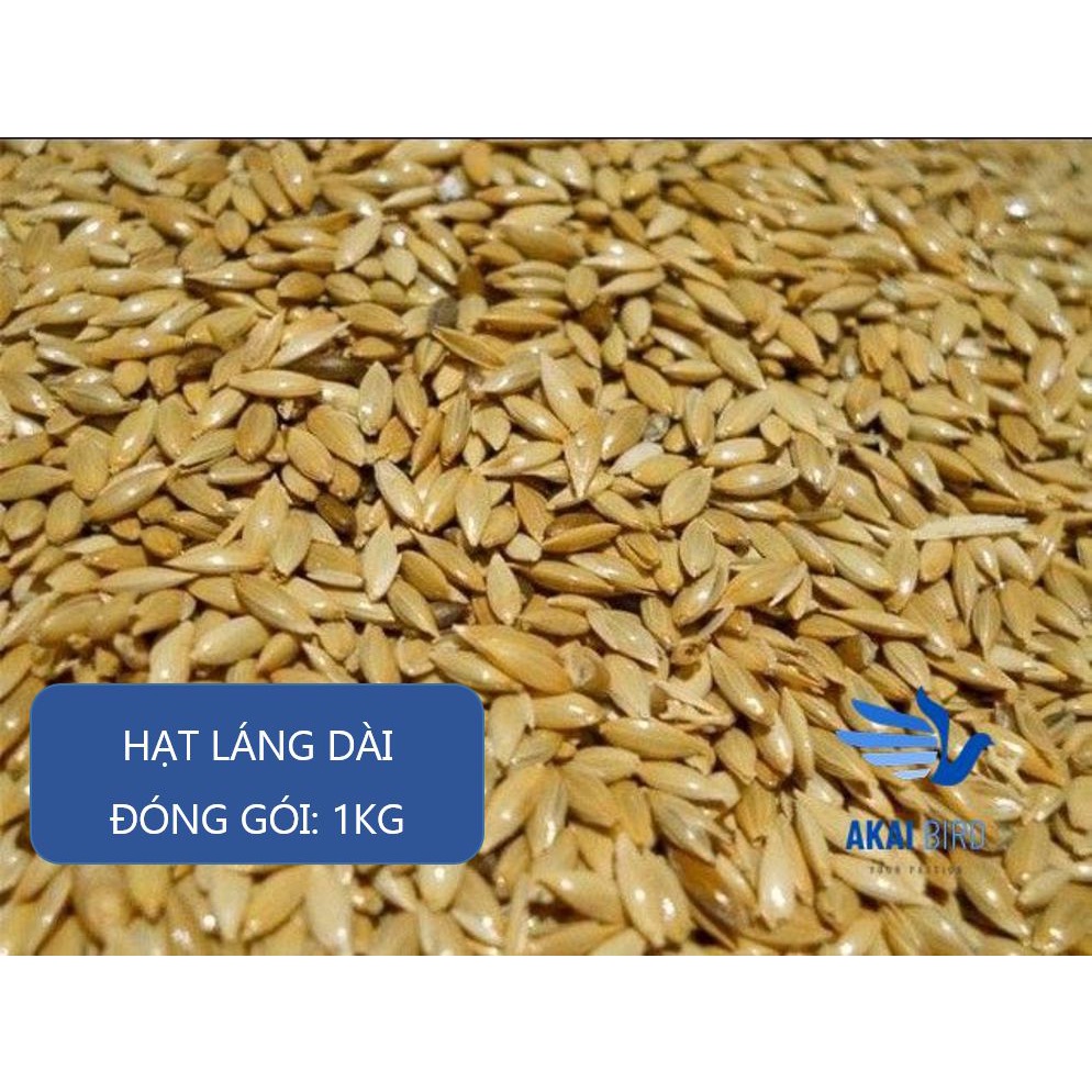 [1KG] Hạt Láng Dài Cho Vẹt, Hamster, Sóc, Gà, Chim....