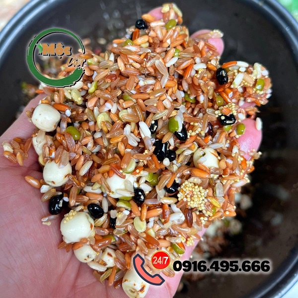 Gạo lứt mix ngũ Cốc dinh dưỡng gói 100g