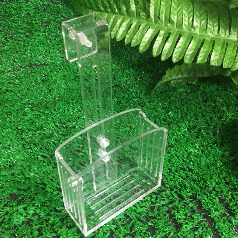 Bình Trồng Cây Thủy Sinh Bằng Nhựa acrylic Trong Suốt Có Giác Hút Treo Tường Tiện Lợi