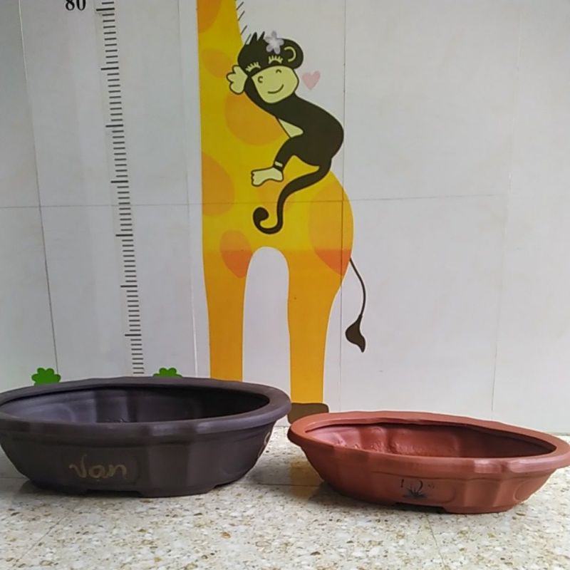 Chậu ovan - Ảng thuyền - chậu trồng cây cảnh bonsai - thấp