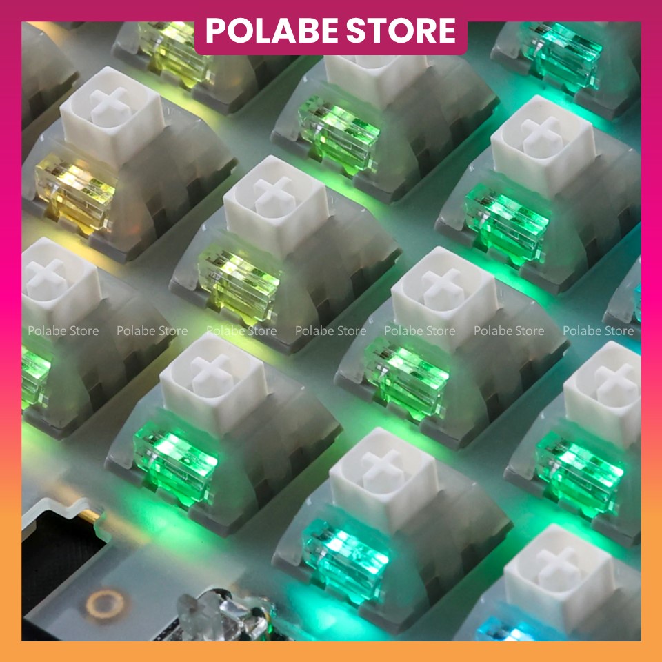 Kailh Arctic Fox KAILH BOX WHITE OWL clicky switch Công Tắc Bàn Phím Cơ Kailh Box Summer Switch - Polabe Store