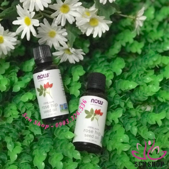 Hàng sẵn - Dầu Nụ Tầm Xuân NOW Solutions Rose Hip Seed Oil