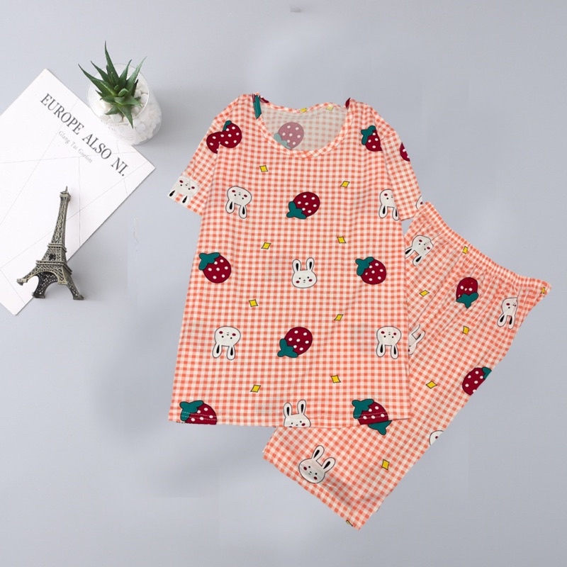 Bộ mặc nhà dễ thương, đồ ngủ tay cộc quần lửng, bộ thun QC hàng loại 1 thun co giãn 4 chiều mịn mát, freeship extra