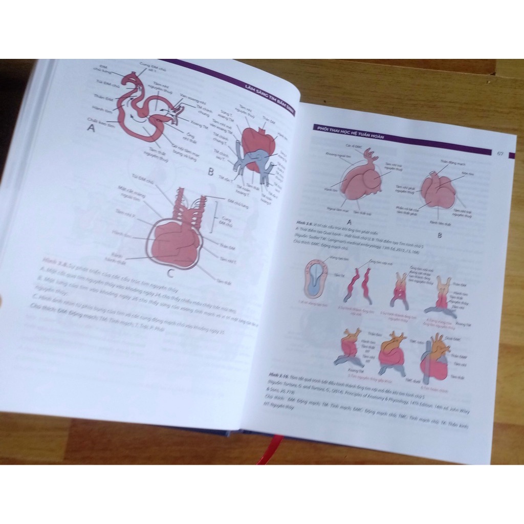 Sách - Lâm sàng tim bẩm sinh 2021