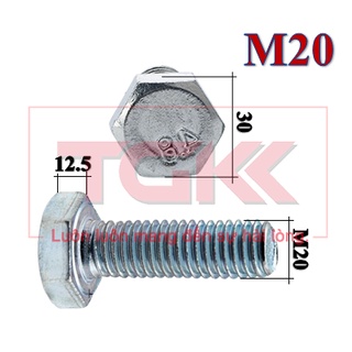 Bulong mạ kẽm m20