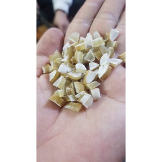 HẠT SÀNH TRẮNG