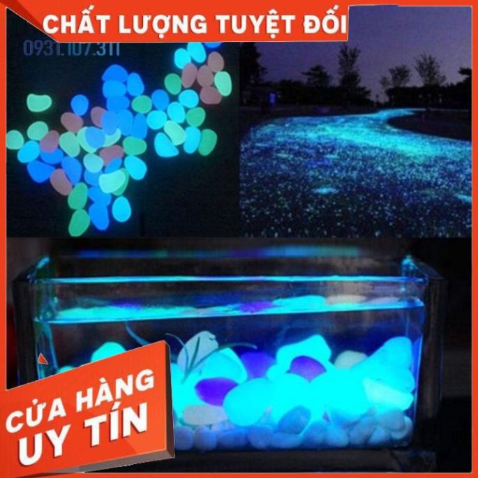 Đá Dạ Quang Nhiều Màu Sắc Trang Trí Bể Cá, Chậu Cây, Sân Vườn