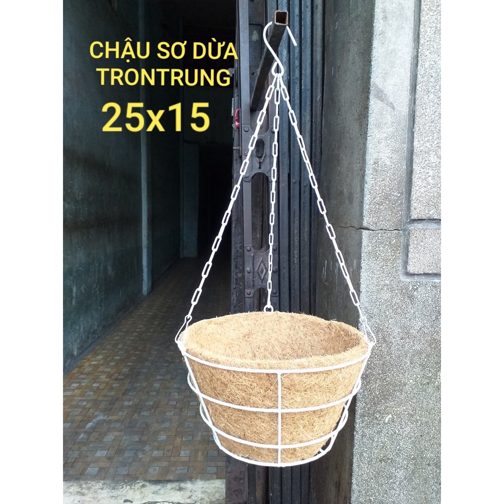 Chậu treo sơ dừa
