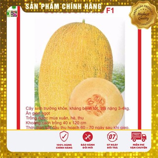 Hạt giống Dưa Lưới Vàng 10 Hạt