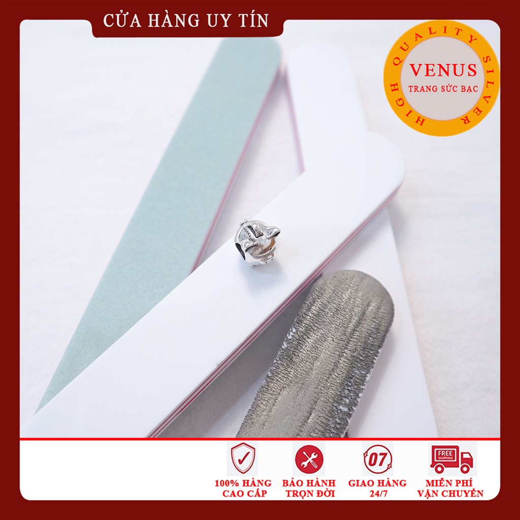 Dũa đánh sáng bạc- Mã sản phẩm VENUSDB
