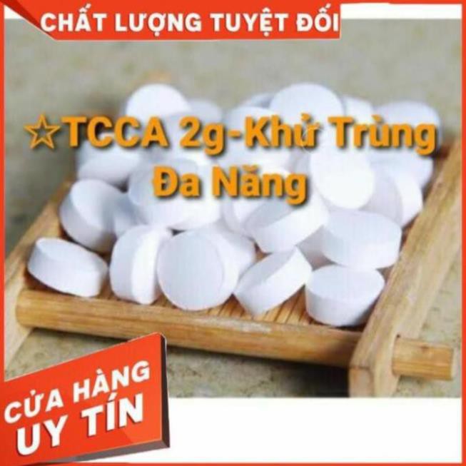 Viên khử trùng đa năng, ngừa khuẩn làm sạch nước hồ bơi, mùi hôi dạng viên sủi 2g