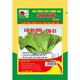 CẢI BẸ DƯA (TÒA XẠI) CN-51