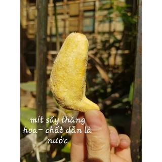[VINAMIT] Mít nước cốt dừa hữu cơ