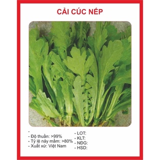 Hạt giống cải cúc 20gr