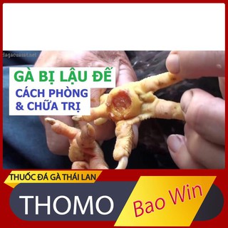 Miếng dán trị lậu đế ( thối đế) ké chậu cho tất cả gà đá  cho gà chọi 100% khỏi ngay có sẵn thuốc .cựa sắt