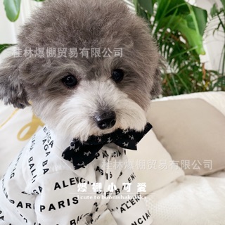 NƠ THỜI TRANG DÀNH CHO THÚ CƯNG