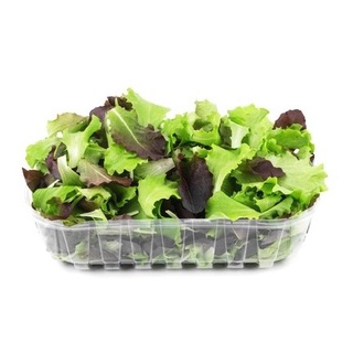Hạt giống hỗn hợp xà lách xồi đỏ 100h