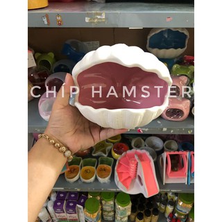 Nhà sứ sò Hamster [lớn,nhỏ]