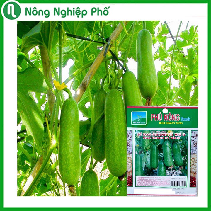 Hạt Giống Bí Đao Chanh F1 PHÚ NÔNG Gói 0,2 Gram