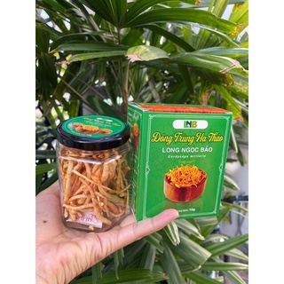 Đông Trùng Hạ Thảo