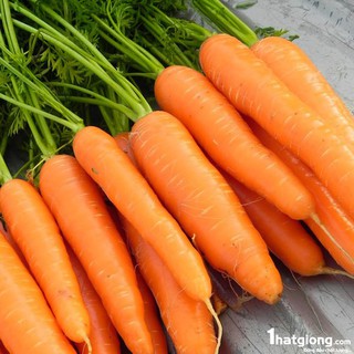 Hạt giống Cà rốt đỏ khổng lồ tặng hai viên nén