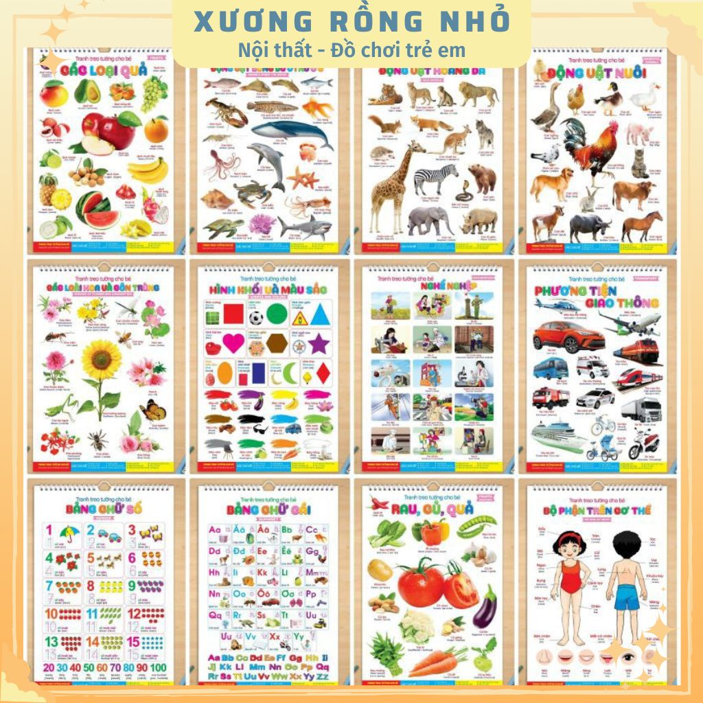 Có Qr Code Đọc Tiếng Anh Chuẩn - Tranh Treo Tường 14 Chủ Đề Rõ Nét Cho Bé Học Thế Giới Xung Quanh