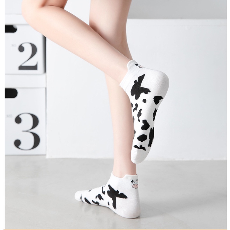 Tất nữ ngắn cổ nhiều hình phong cách hàn quốc set 5 đôi kèm túi covolacotat