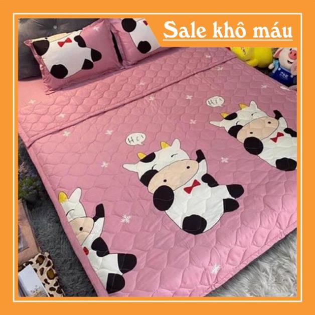 Bộ Chăn Ga Gối Hè Cotton Poly  5 Món , sét 5 món cotton poly hè nhiều mẫu lựa chọn may drap miễn phí theo yêu cấu | BigBuy360 - bigbuy360.vn