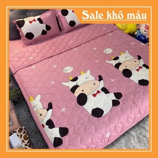 Bộ Chăn Ga Gối Hè Cotton Poly  5 Món , sét 5 món cotton poly hè nhiều mẫu lựa chọn may drap miễn phí theo yêu cấu