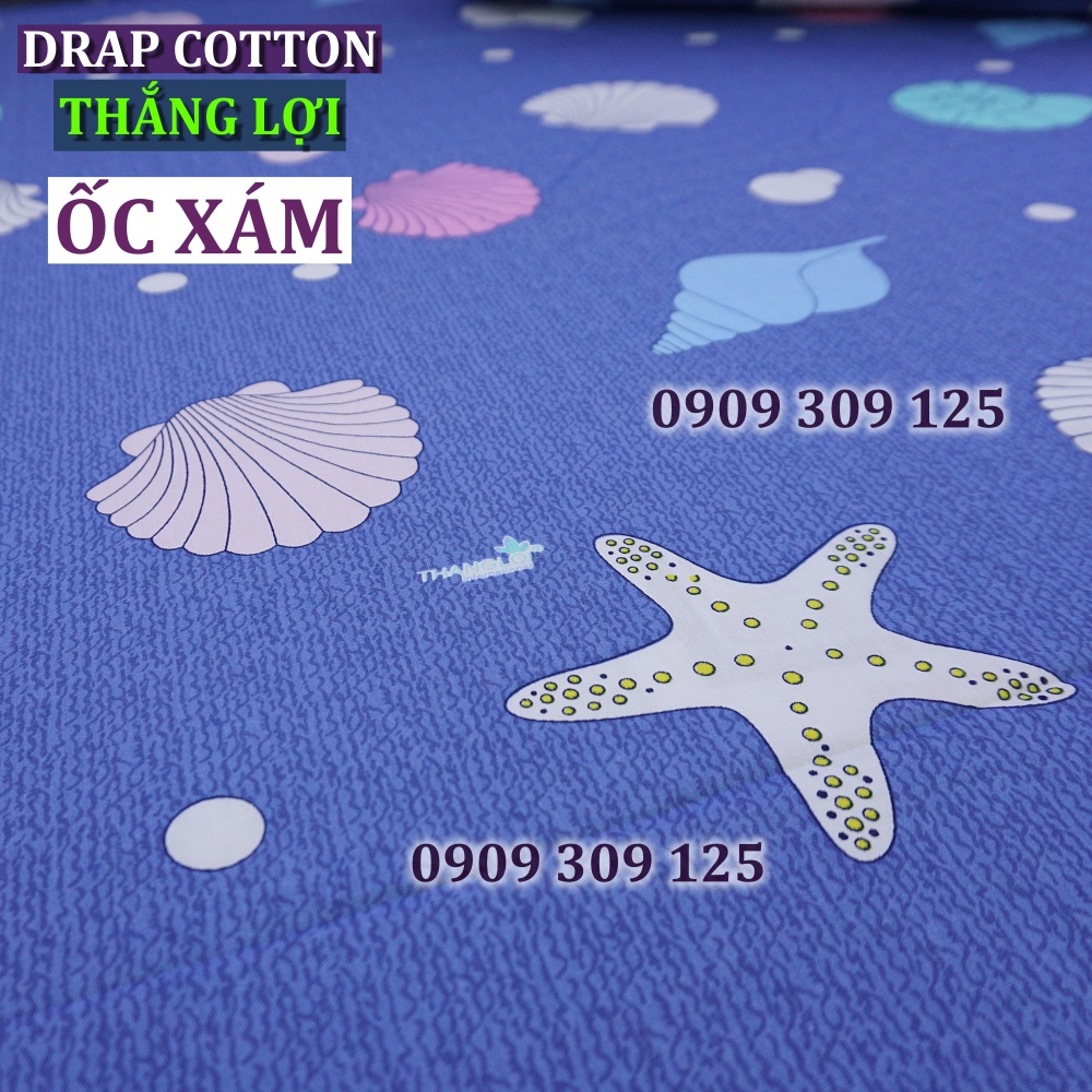 Drap cotton 100% , ga trải giường cao cấp chuẩn LOGO CTY  mẫu sò biển