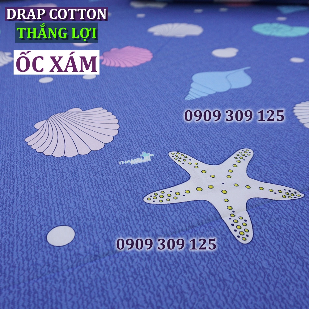 Drap Cotton 100% Thắng Lợi chính hãng IN LOGO THẮNG LỢI | BigBuy360 - bigbuy360.vn