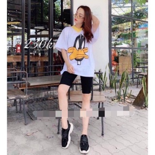 Sét bộ vịt