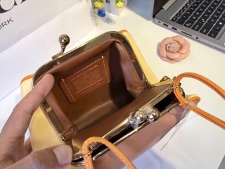 🆘RẺ VÔ ĐỊCH🆘Túi Coach khủng long mini