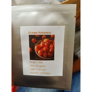 HẠT GIỐNG ỚT SIÊU CAY HABANERO CAM
