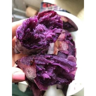khoai lang ruột tím combo 1kg có vận chuyển hỏa tốc