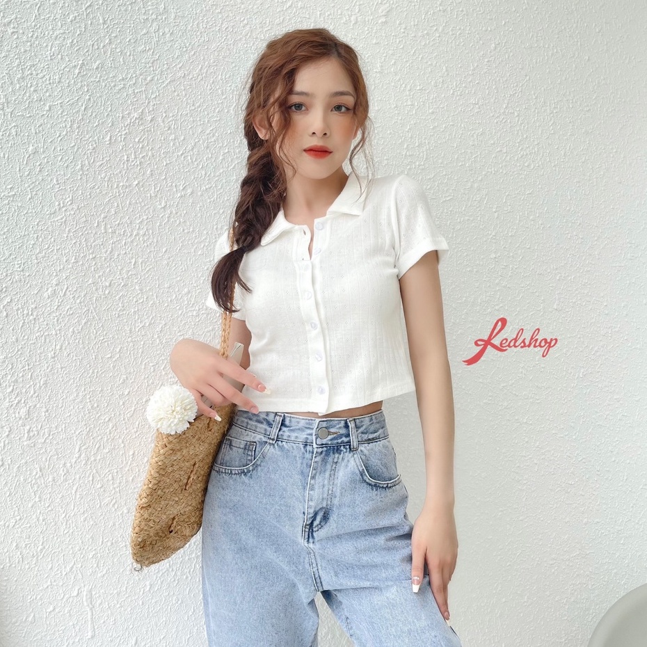 Áo croptop cổ đức dạo phố đi chơi thời trang Hàn Quốc Red Shop_29800