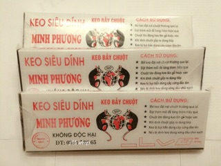 Combo 5 bấy keo siêu dính chuột MP