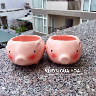 Chậu heo hồng nhỏ