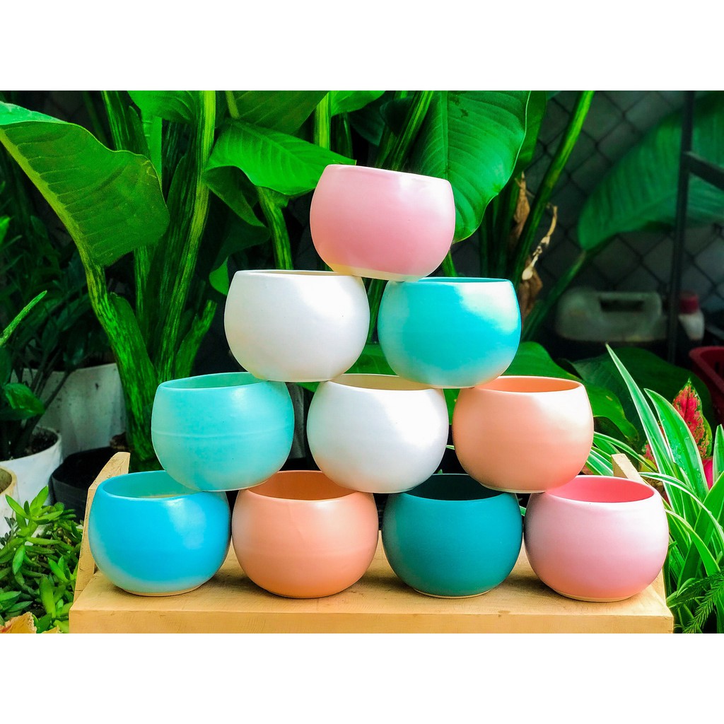 10 CHẬU SỨ CAO CẤP TRỒNG SEN ĐÁ, XƯƠNG RỒNG, CÂY CẢNH MINI