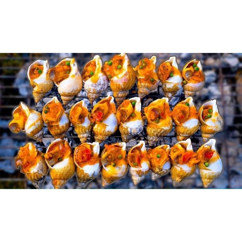 Ốc BULOT pháp 20-30con kg vĩ 500gr (giao tphcm)