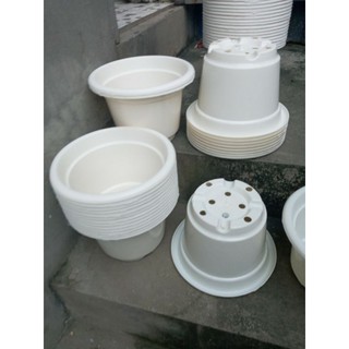 20 cái chậu trắng tròn giá bất chấp phi 24cm x16cm